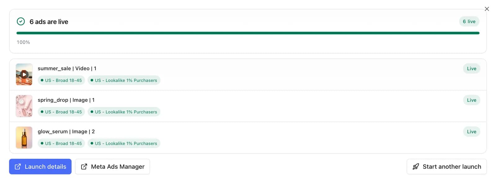 Launch result in uplads: six ads live across two ad sets, each row marked Live
